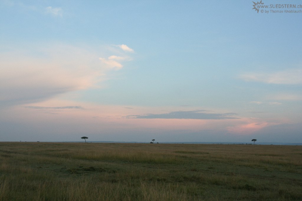IMG 8645-Kenya, dawn in Masai Mara